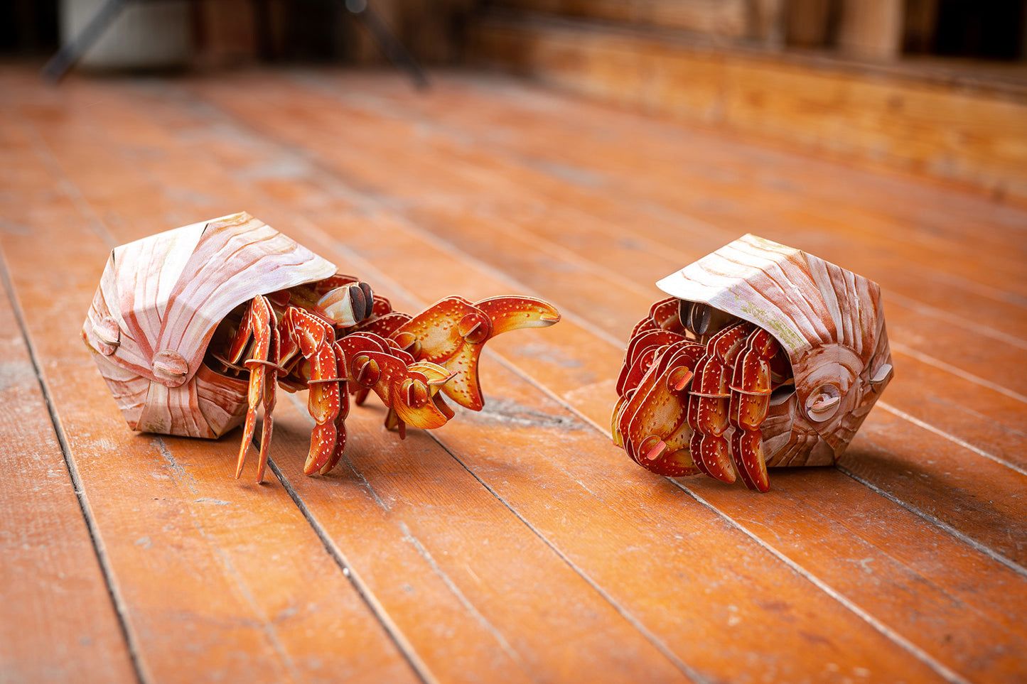 Hermit Crab 3D Puzzle